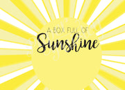 Box of Sunshine Care Package Sticker Kit