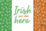 Irish You Were Here Care Package Sticker Kit