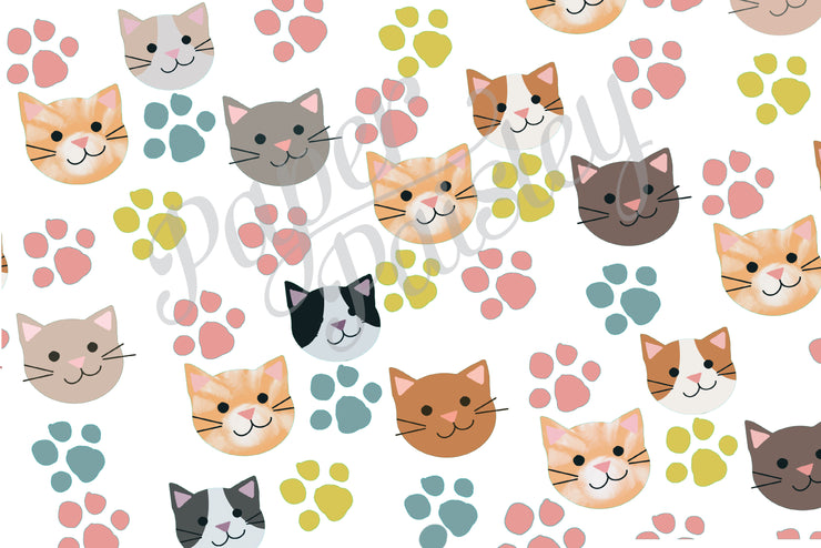 Kitten Care Package Sticker Kit