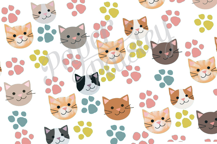 Kitten Care Package Sticker Kit